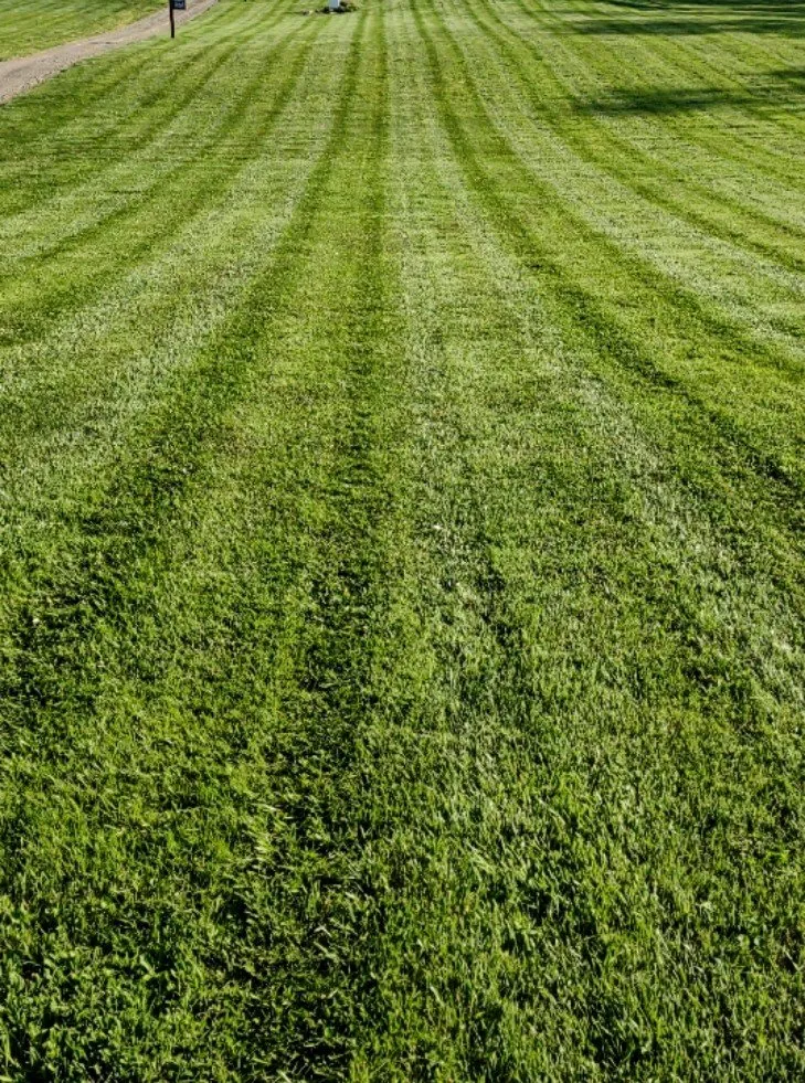 Local outdoor landscaping near you in Dallas, GA by Fine Cut Lawn Care & Landscape