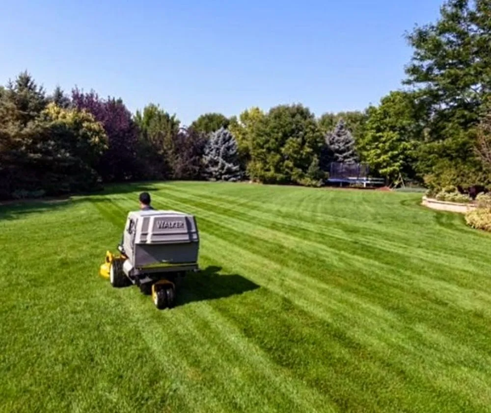 Reliable landscape installation with custom design across Dallas, GA - Fine Cut Lawn Care & Landscape