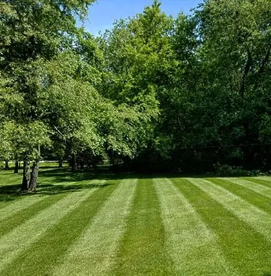 Fine Cut Lawn Care & Landscape Logo
