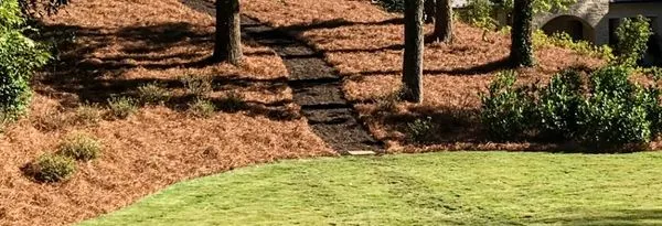 Fine Cut Lawn Care Logo