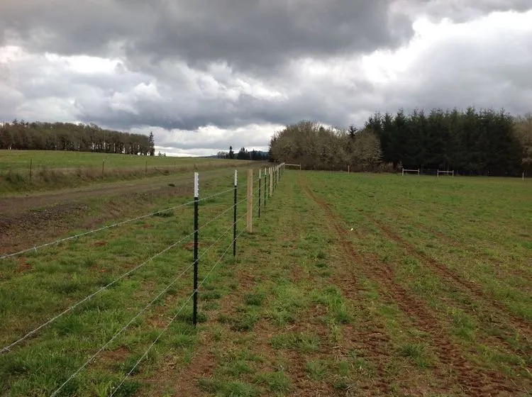 Trusted outdoor landscaping in Henryetta, OK - Fine Cuts