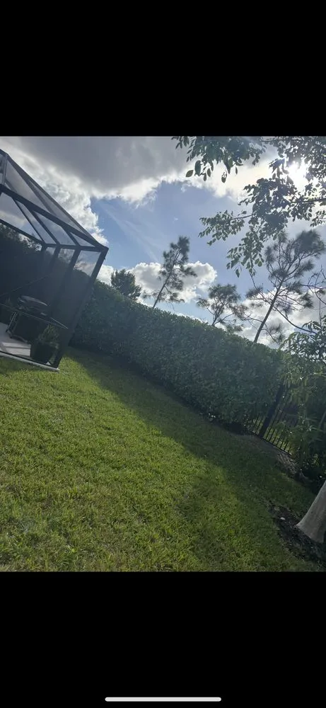 Local yard maintenance in Royal Palm Beach, FL - Fine Cutz