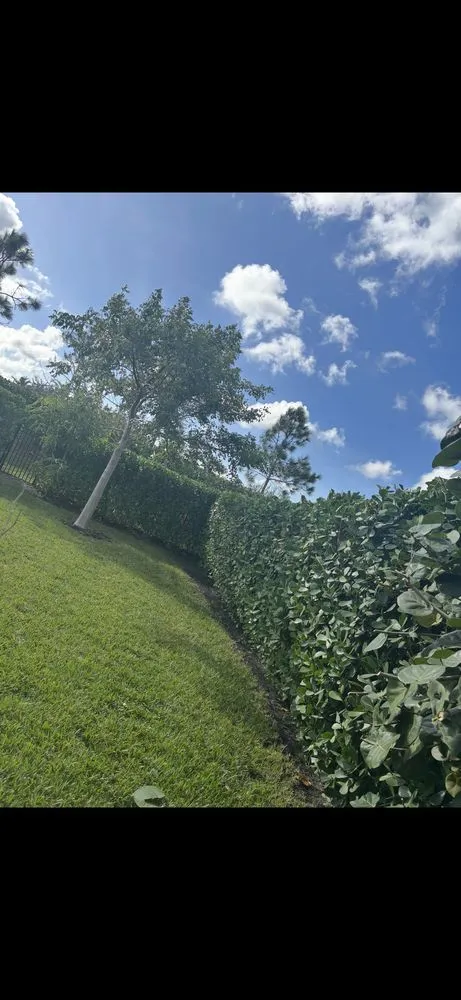 Expert landscape design in Royal Palm Beach, FL by Fine Cutz