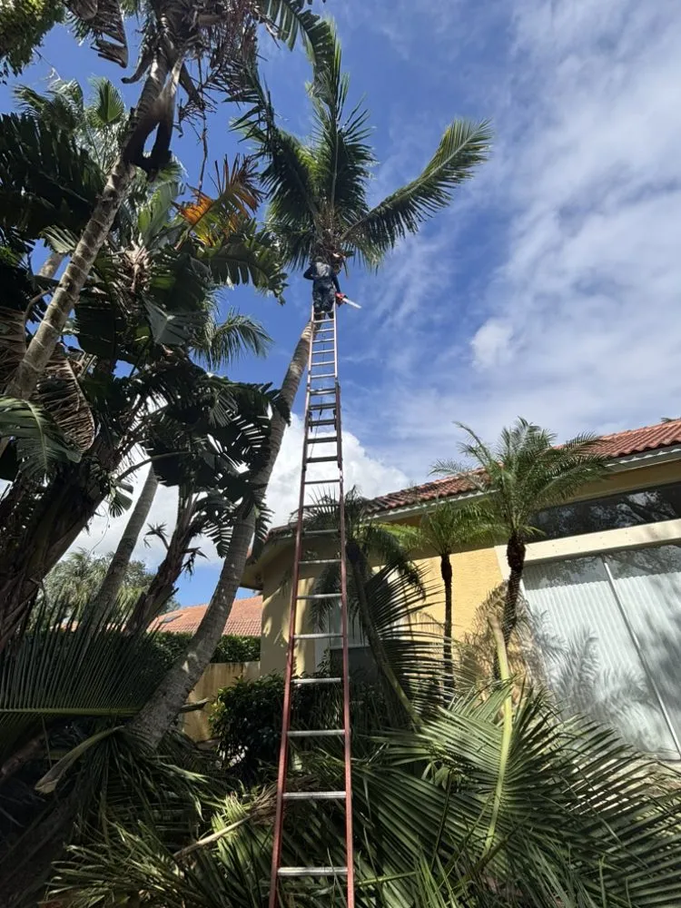 Top-rated garden landscaping experts serving Royal Palm Beach, FL - Fine Cutz