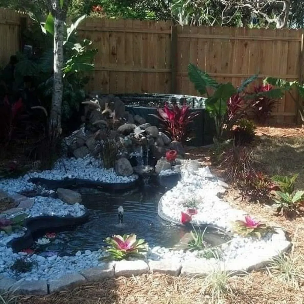 Top-rated lawn care service in Port Charlotte, FL - Fine Design Lawn Care