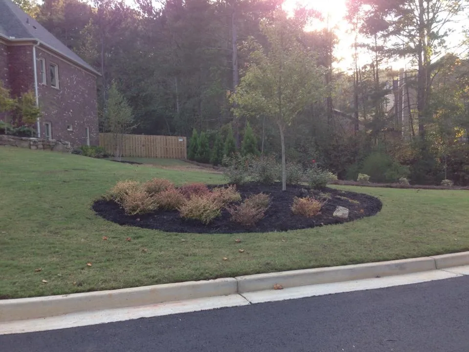 Reliable yard cleanup service with custom design in Marietta, GA by Fine Edge Landscapes