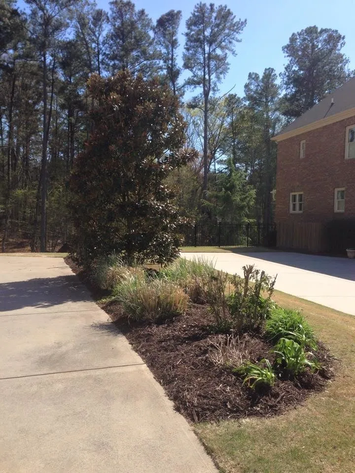 Local yard cleanup service for homes across Marietta, GA - Fine Edge Landscapes