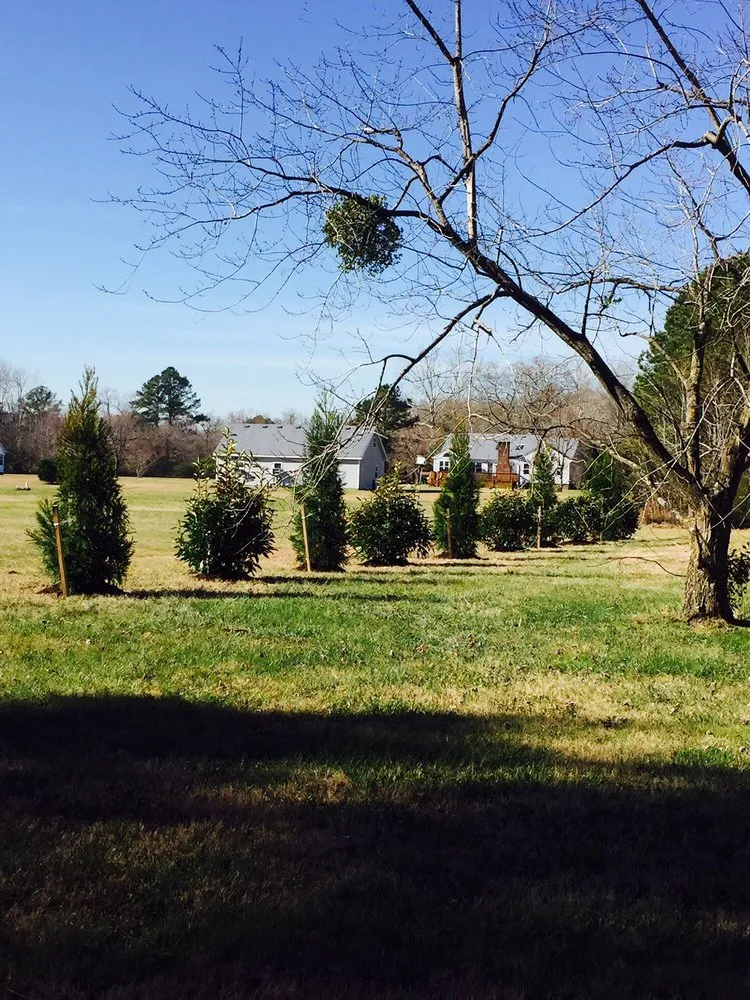 Reliable residential landscaping in Virginia Beach, VA - Fine Edge Lawn & Landscaping