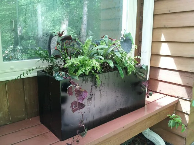 Top-rated yard maintenance experts serving Prospect Park, PA - Fine Garden Creations