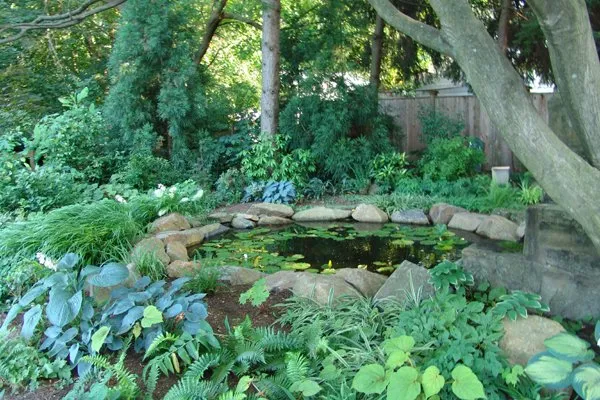 Top-rated landscaping services for beautiful yards in Prospect Park, PA by Fine Garden Creations
