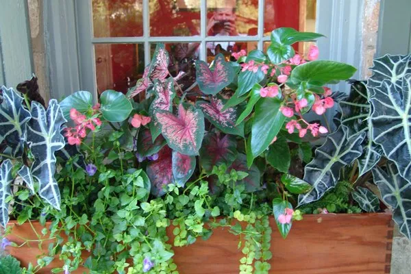 Reliable outdoor landscaping for homes in Prospect Park, PA by Fine Garden Creations