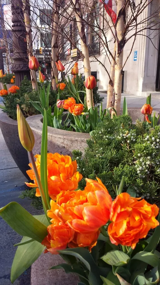 Trusted yard maintenance experts serving Prospect Park, PA - Fine Garden Creations