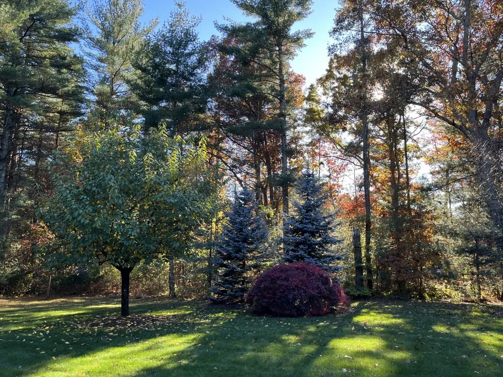 Affordable outdoor landscaping for outdoor upgrades in Sharon, MA by Fine Landscaping & Maintenance