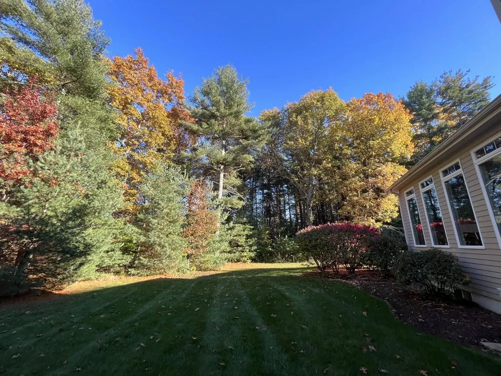 Top-rated landscape design in Sharon, MA - Fine Landscaping & Maintenance