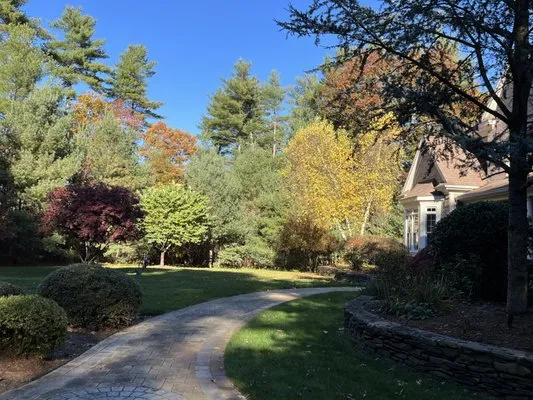 Fine Landscaping & Maintenance