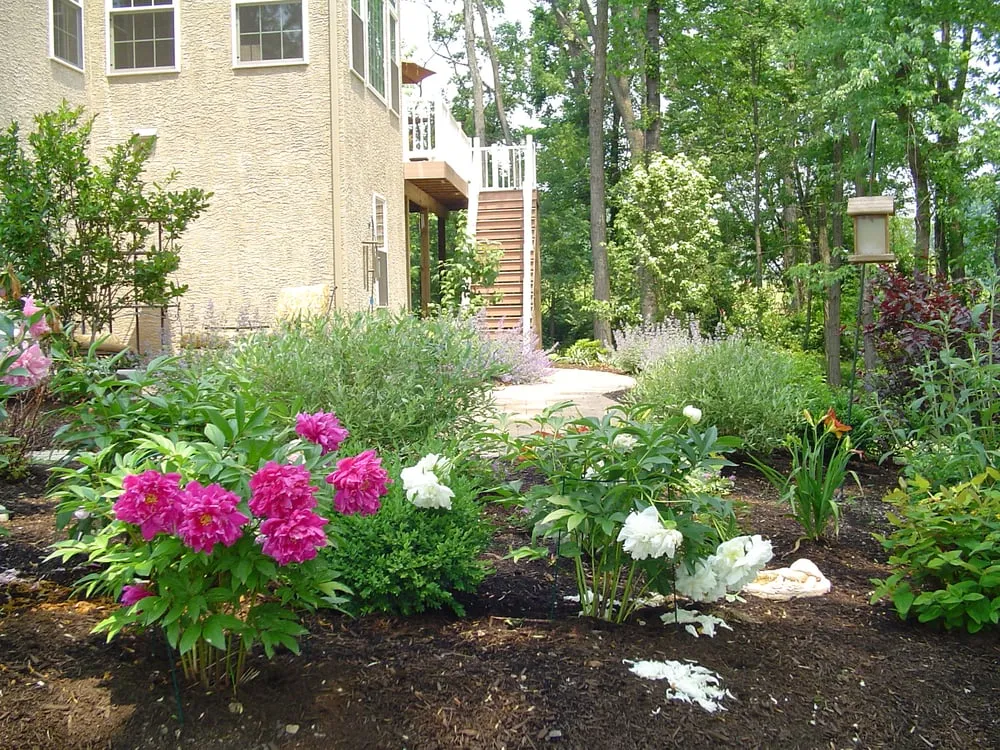 Local landscape installation for beautiful yards in Limerick, PA by Fine Lawns & Gardens