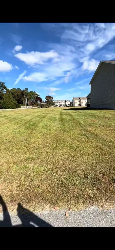 Trusted garden landscaping in Jacksonville, NC - Fine Line Landscaping