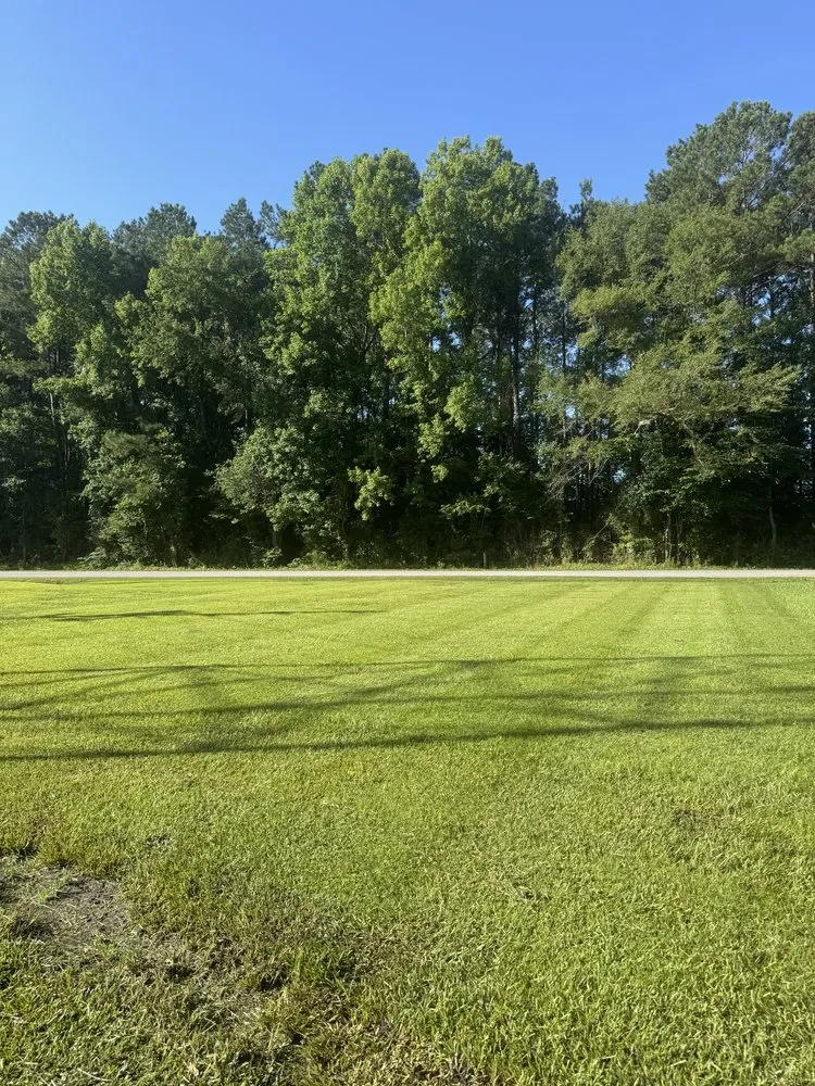 Expert landscape design experts serving Jacksonville, NC - Fine Line Landscaping