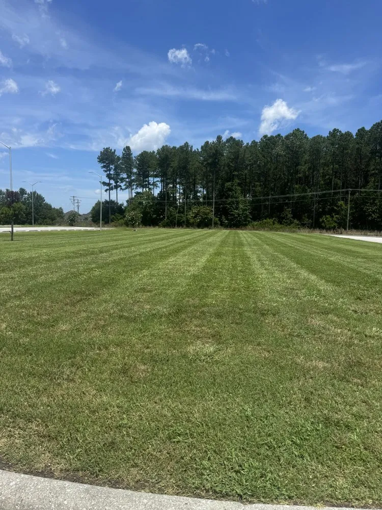 Local landscaping services for year-round maintenance across Jacksonville, NC - Fine Line Landscaping