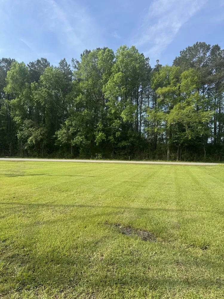 Reliable yard cleanup service for year-round maintenance across Jacksonville, NC - Fine Line Landscaping
