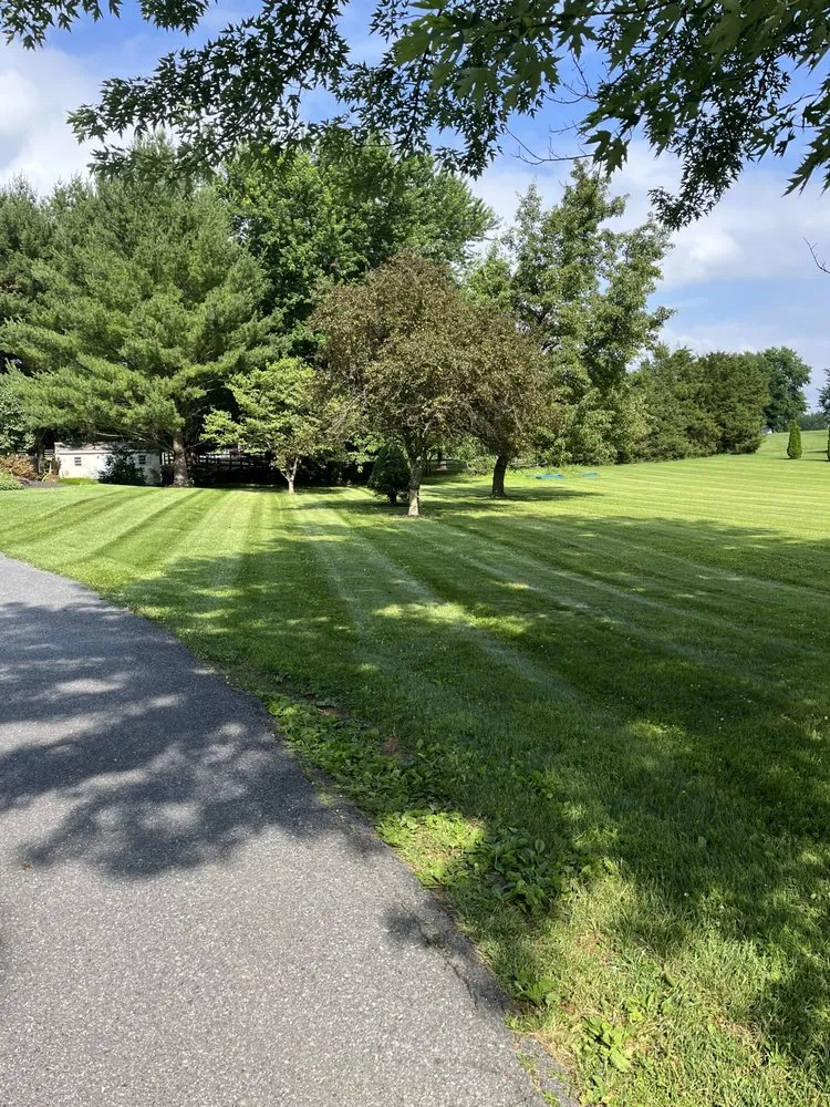 Top-rated yard maintenance for residential properties in Union Bridge, MD by Fine Line Landscaping