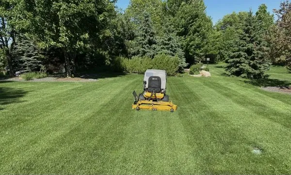 Fine Line Lawn Care