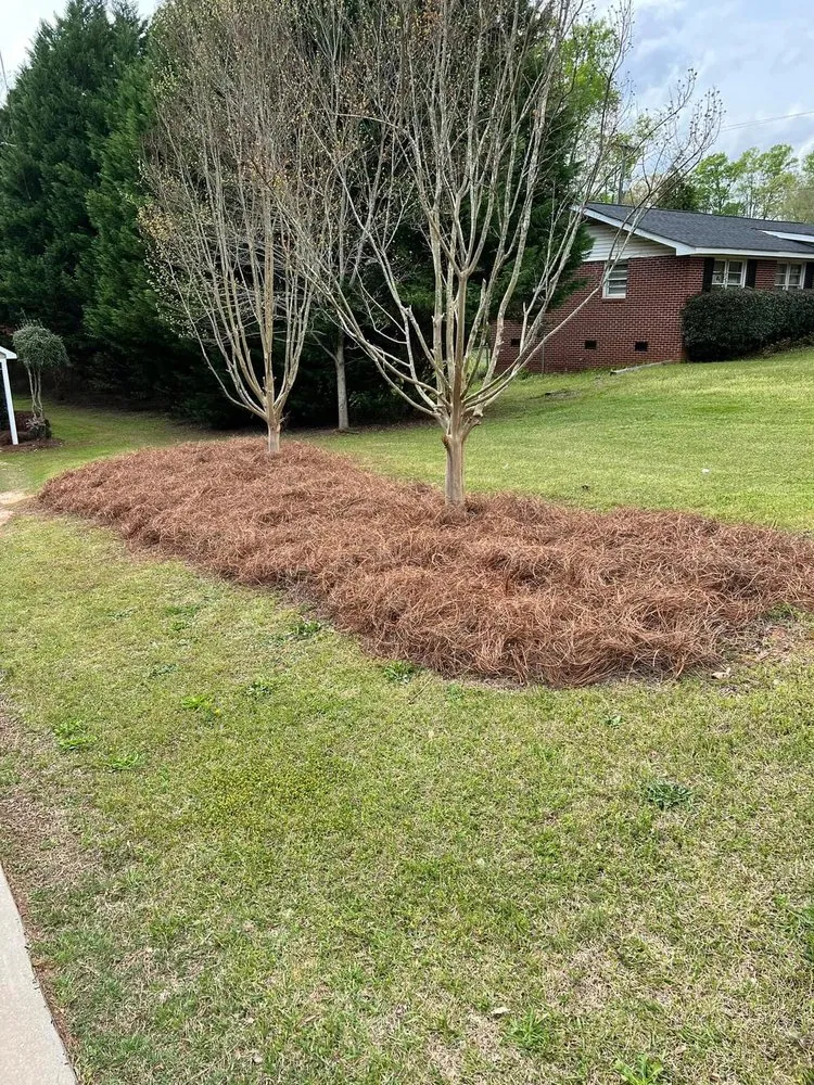 Reliable garden landscaping in Greenwood, SC - Fine Line Lawn Care