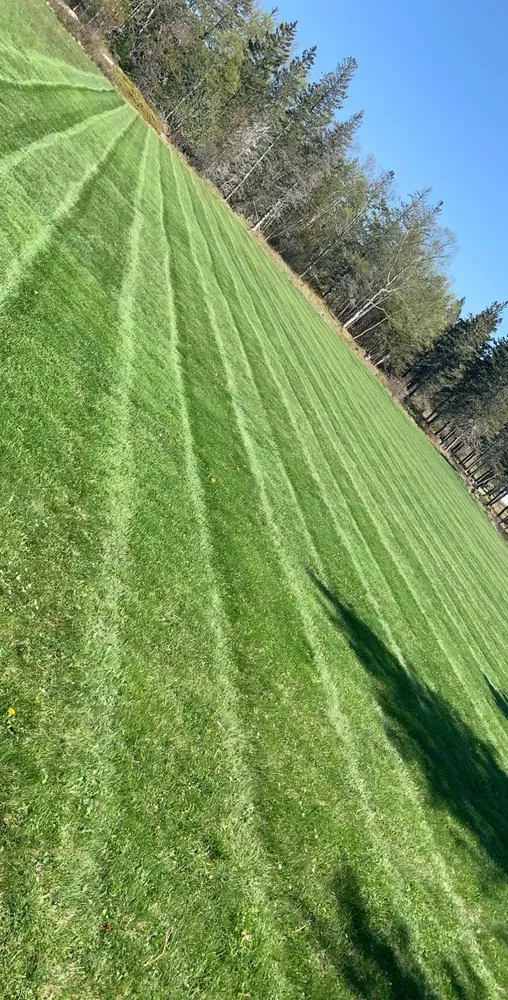 Local lawn care service for year-round maintenance across Milo, ME - Fine Line Lawn Care