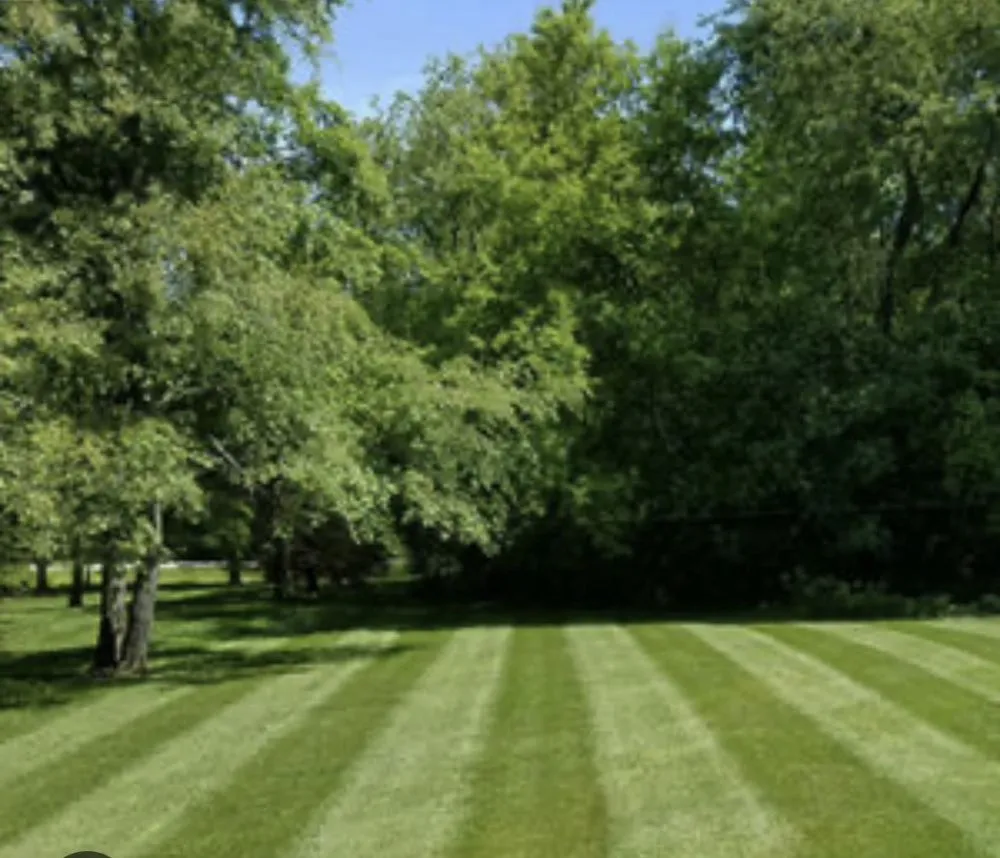 Trusted yard maintenance for residential properties across Staunton, VA - Fine Line Lawn Solutions