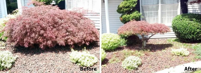 Expert lawn mowing service experts serving Walworth, NY - Fine Line Property Maintenance