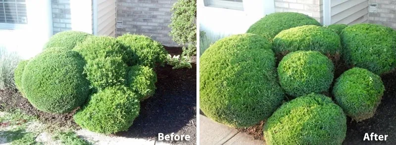 Affordable outdoor landscaping for residential properties across Walworth, NY - Fine Line Property Maintenance