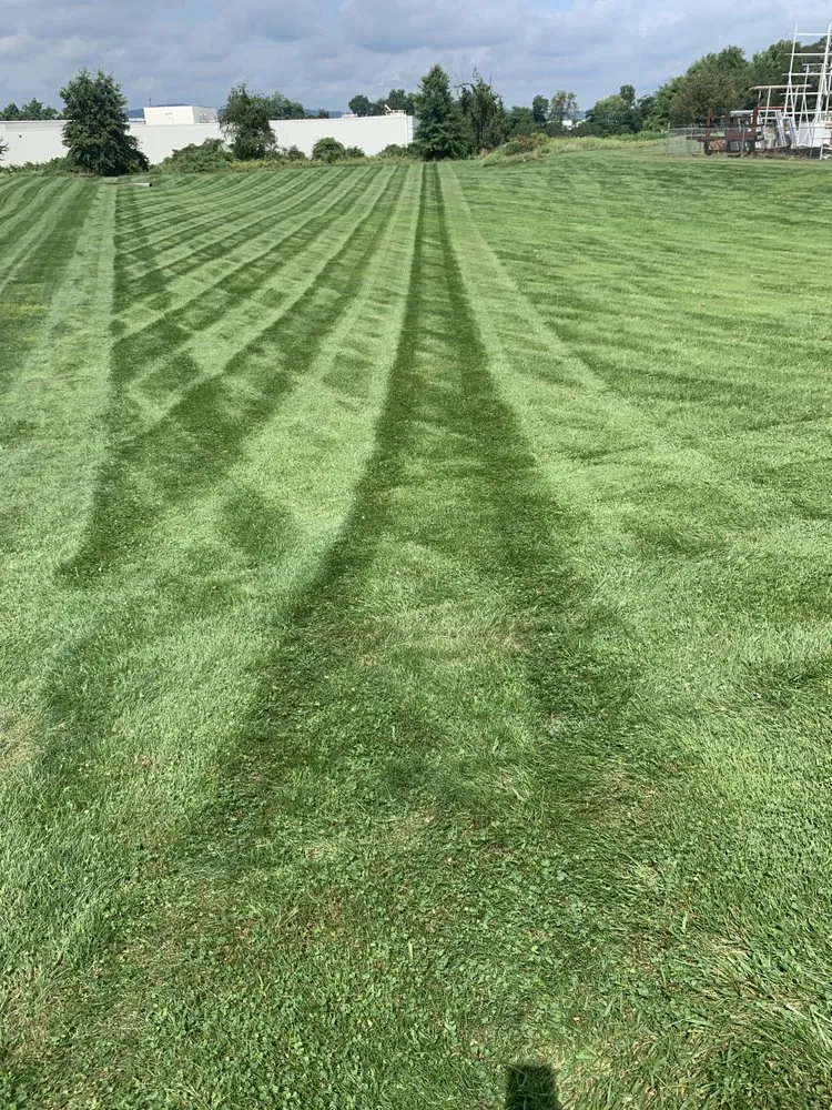 Professional yard cleanup service near you in Felton, PA by Fine Line Property Services
