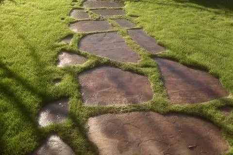 Reliable residential landscaping experts serving Hixson, TN - Fine Lines Landscaping