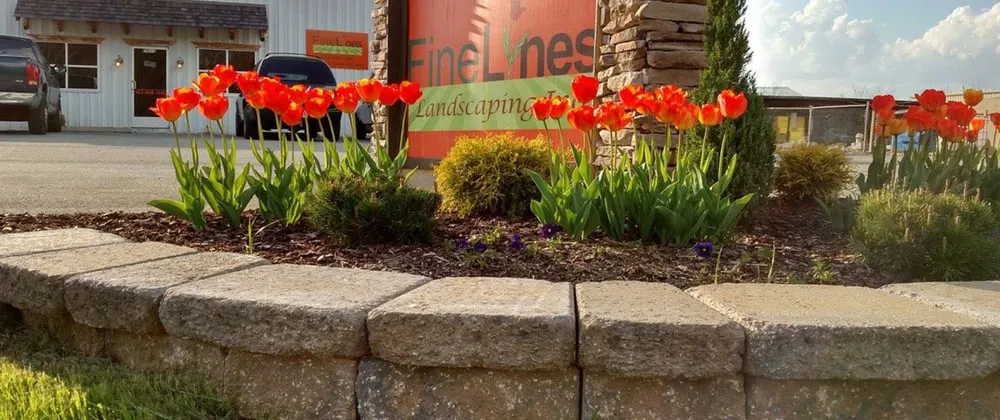 Expert landscaping services for year-round maintenance in Hixson, TN by Fine Lines Landscaping