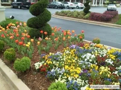 Affordable outdoor landscaping in Hixson, TN - Fine Lines Landscaping