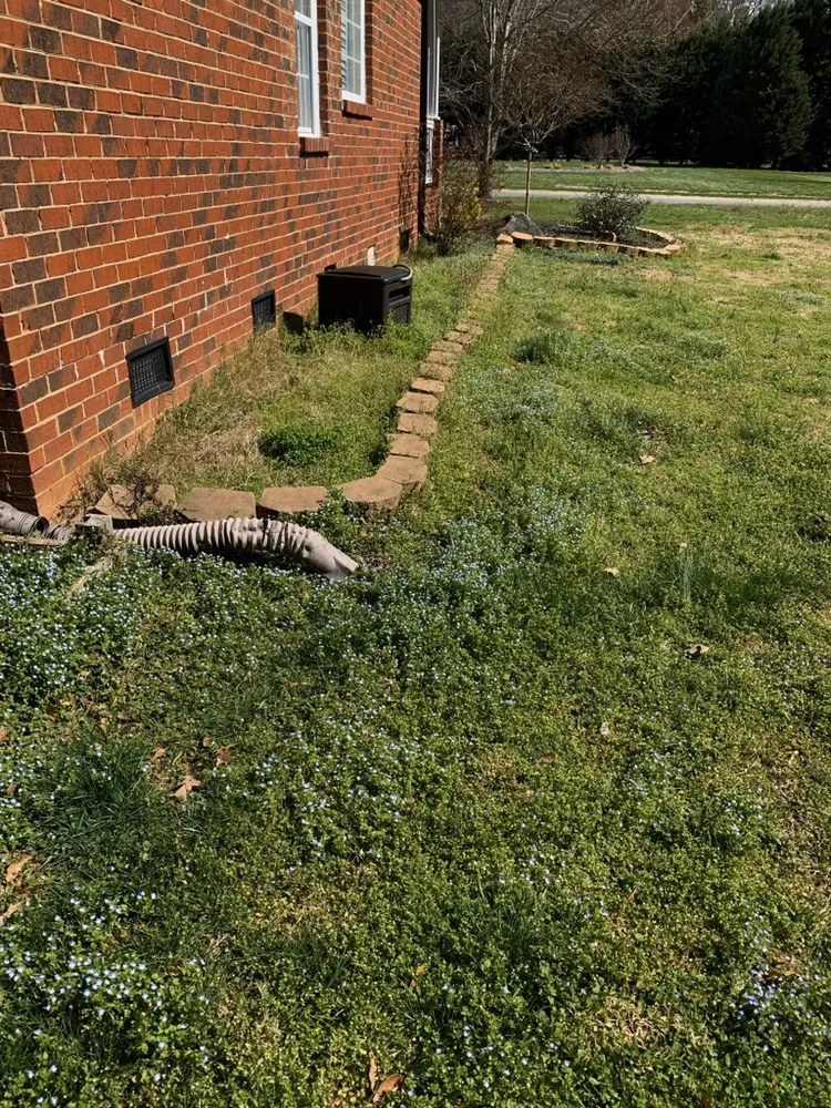 Expert lawn care service for beautiful yards across Denver, NC - Fine Lines Lawn And Landscape