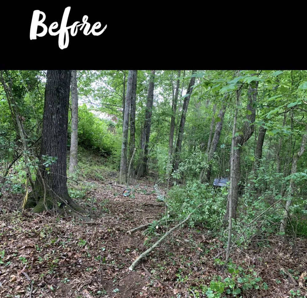 Local landscaping services experts serving Denver, NC - Fine Lines Lawn And Landscape