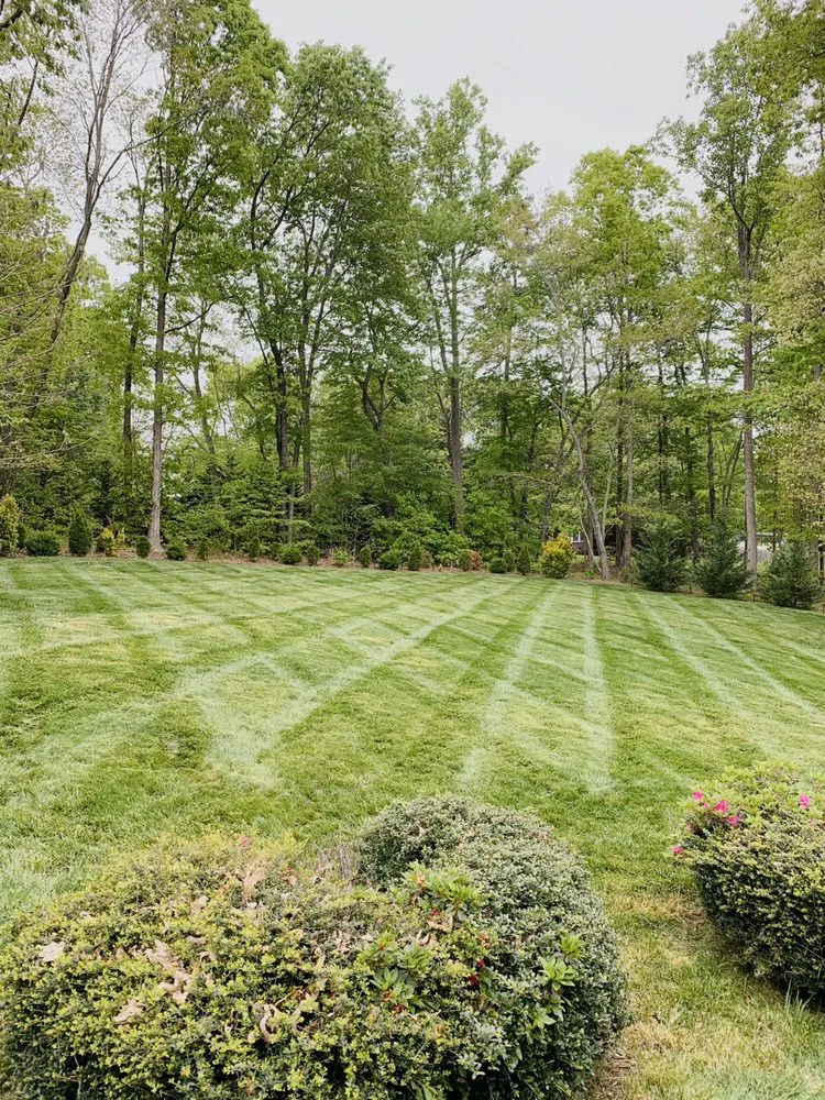 Trusted lawn mowing service near you across Denver, NC - Fine Lines Lawn And Landscape