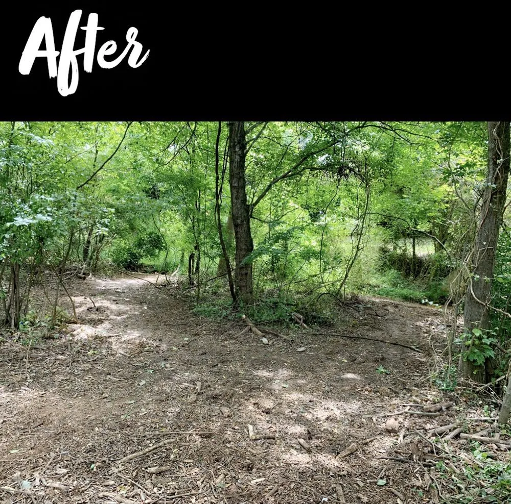 Trusted garden landscaping near you in Denver, NC by Fine Lines Lawn And Landscape