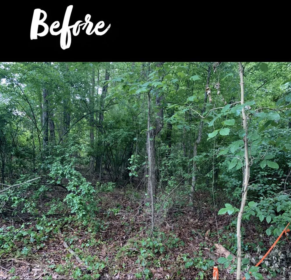 Top-rated yard maintenance in Denver, NC - Fine Lines Lawn And Landscape