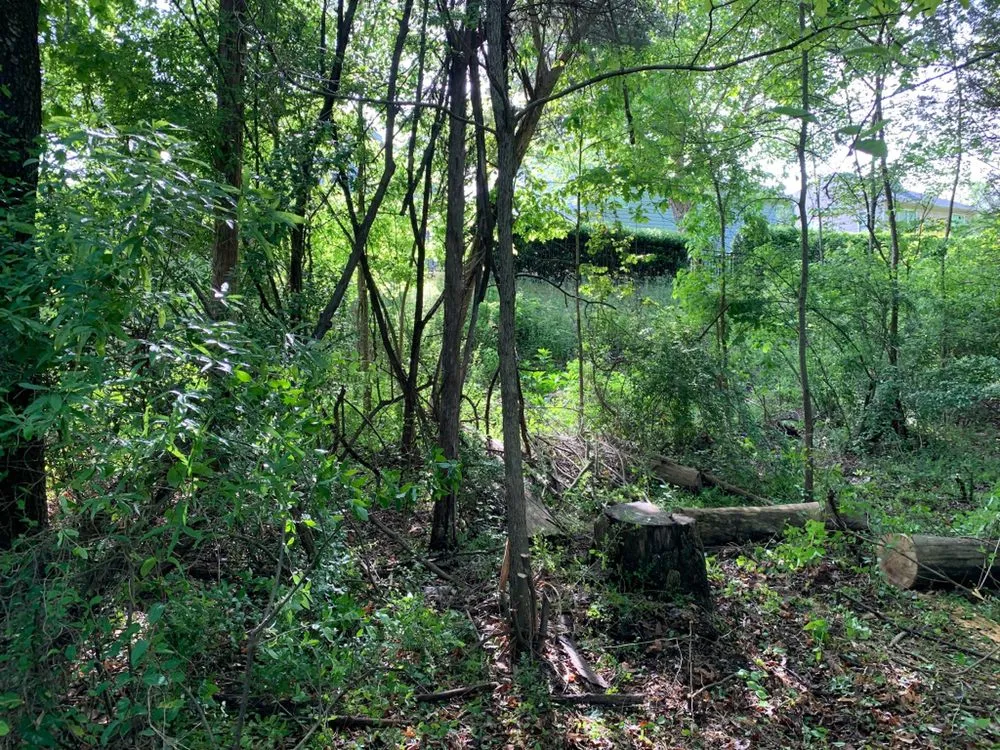 Custom residential landscaping with custom design in Denver, NC by Fine Lines Lawn And Landscape