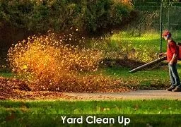 Custom yard cleanup service in Poughkeepsie, NY - Fine Lines Lawn Care