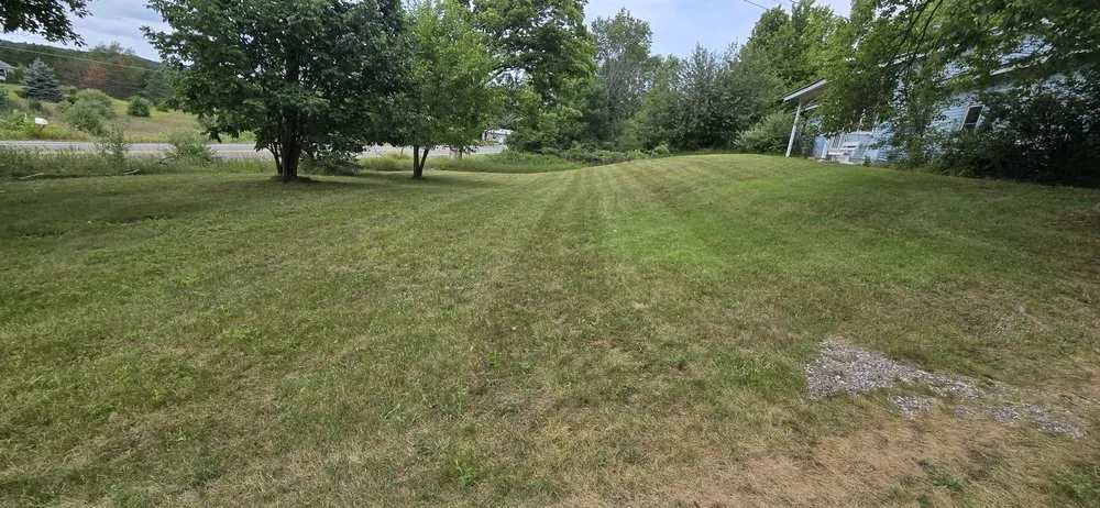 Professional yard cleanup service near you across Traverse City, MI - Fine Lines Lawncare & Landscapes