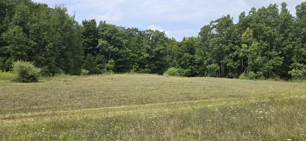 Expert landscaping services in Traverse City, MI by Fine Lines Lawncare & Landscapes