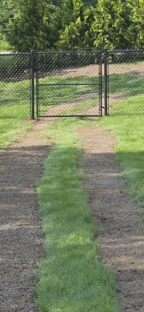 Top-rated lawn mowing service experts serving Traverse City, MI - Fine Lines Lawncare & Landscapes