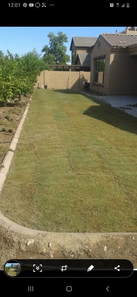 Local lawn care service in El Mirage, AZ by Fine Touch Landscaping