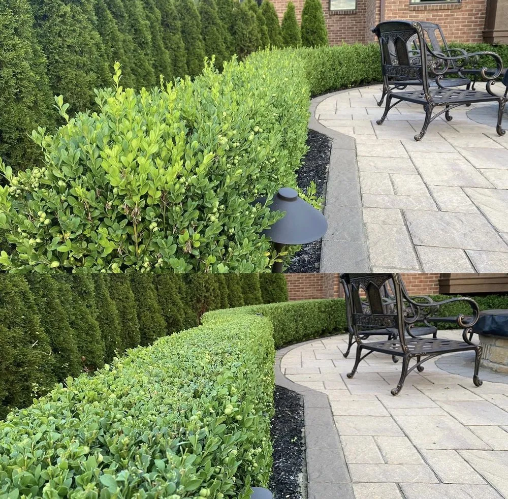 Custom yard cleanup service for residential properties in Fishers, IN by Fine Touch Services