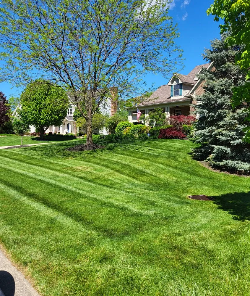 Reliable landscaping services with custom design in Fishers, IN by Fine Touch Services