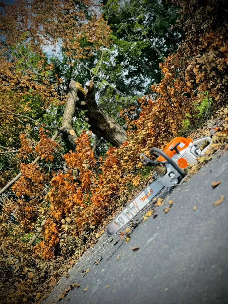 Professional outdoor landscaping experts serving Battlefield, MO - Fine Trims Landscaping