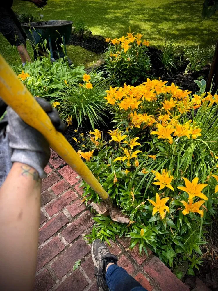 Affordable landscape design for year-round maintenance in Battlefield, MO by Fine Trims Landscaping